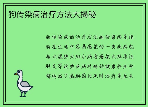 狗传染病治疗方法大揭秘